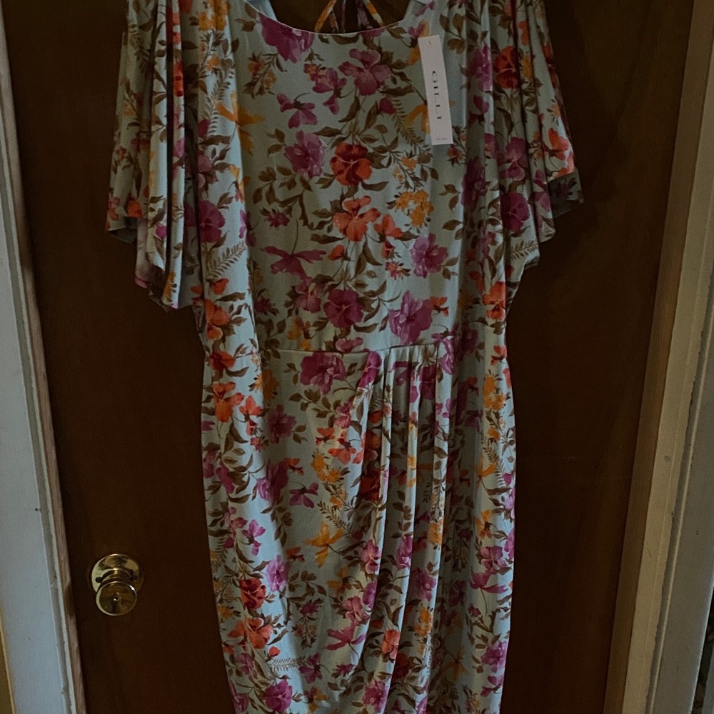 Gilli Floral Dress with Pink and Orange Accents - Picture 11 of 11